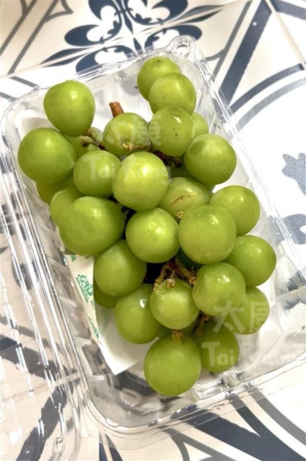 China Premium Shine Muscat Grapes (500g) *Crunchy!* - Image 2