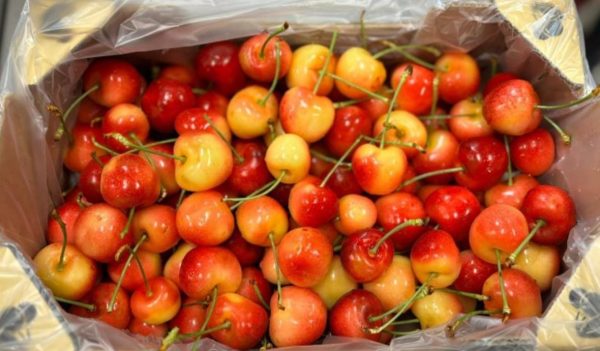 Italy Skylar Rae Cherries (1KG) *Sweet&Crunchy!*