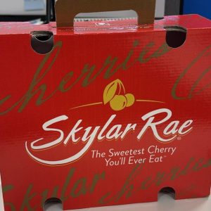 Italy Skylar Rae Cherries (1KG) *Sweet&Crunchy!*