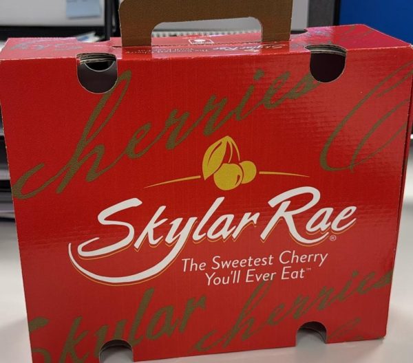 Italy Skylar Rae Cherries (1KG) *Sweet&Crunchy!* - Image 2