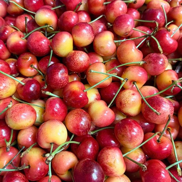 USA Premium Rainier Cherries (1kg) *Sweet!*