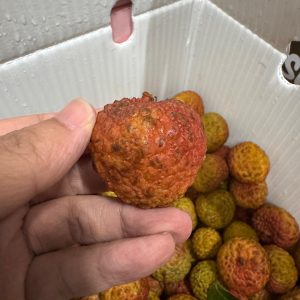 Salathiel (Lou Mai Chee) Lychee 1KG *Sweet & Small Seed*