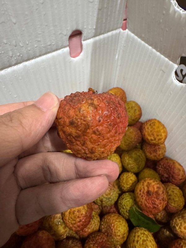 Salathiel (Lou Mai Chee) Lychee 1KG *Sweet & Small Seed* - Image 2