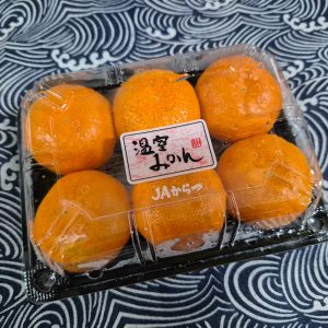 Karatsu Mikan 270g *Seedless and Sweet!*