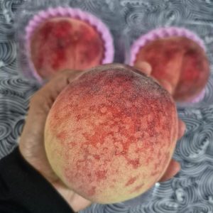 Yamanashi Peach *Daitouryou Grade* 1pc