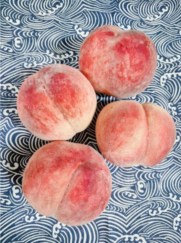 Yamanashi Peach *Daitouryou Grade* 1pc