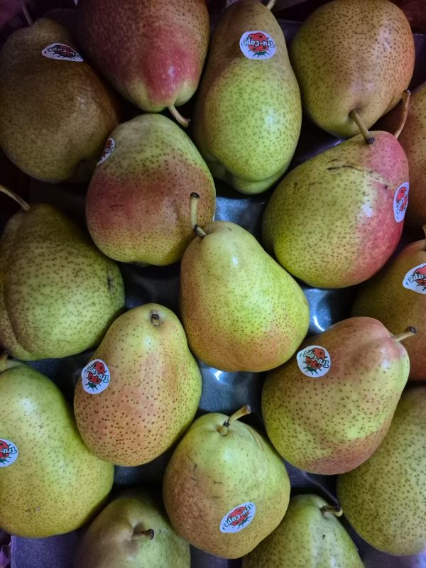 South Africa Forelle Pear (4pc) *Sweet!*