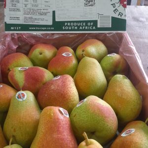 South Africa Forelle Pear (4pc) *Sweet!*