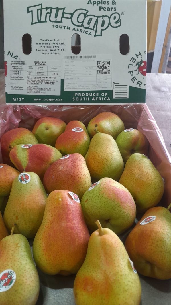 South Africa Forelle Pear (4pc) *Sweet!* - Image 2