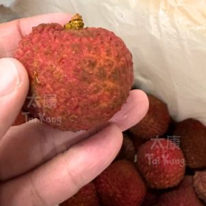 King Lychee (1.8KG) *Huge*